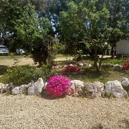 Nature Houses Lagos Esterno foto