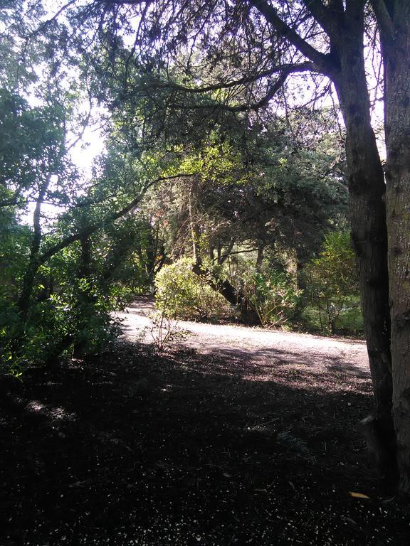 Nature Houses Lagos Esterno foto