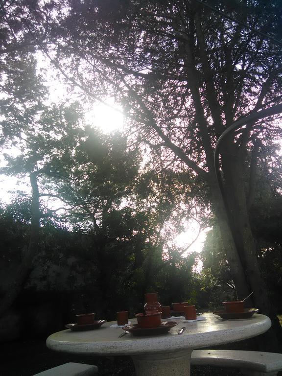 Nature Houses Lagos Esterno foto