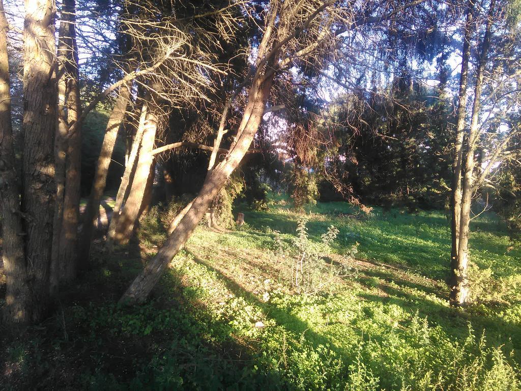 Nature Houses Lagos Esterno foto