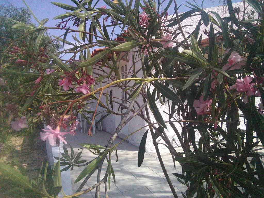 Nature Houses Lagos Esterno foto