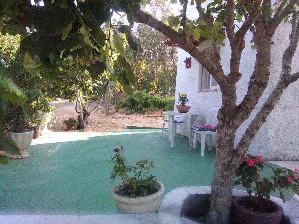 Nature Houses Lagos Esterno foto