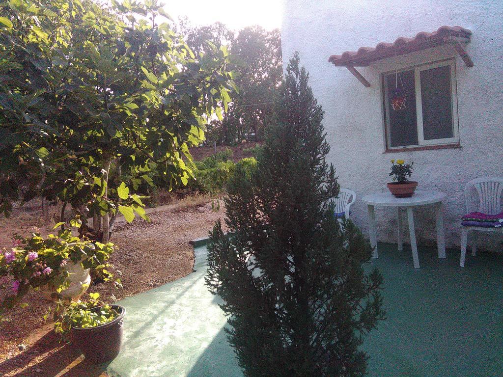 Nature Houses Lagos Esterno foto