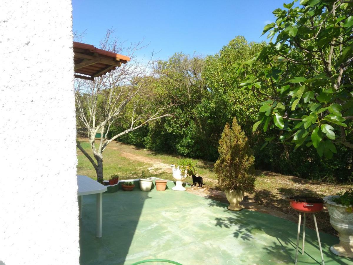 Nature Houses Lagos Esterno foto